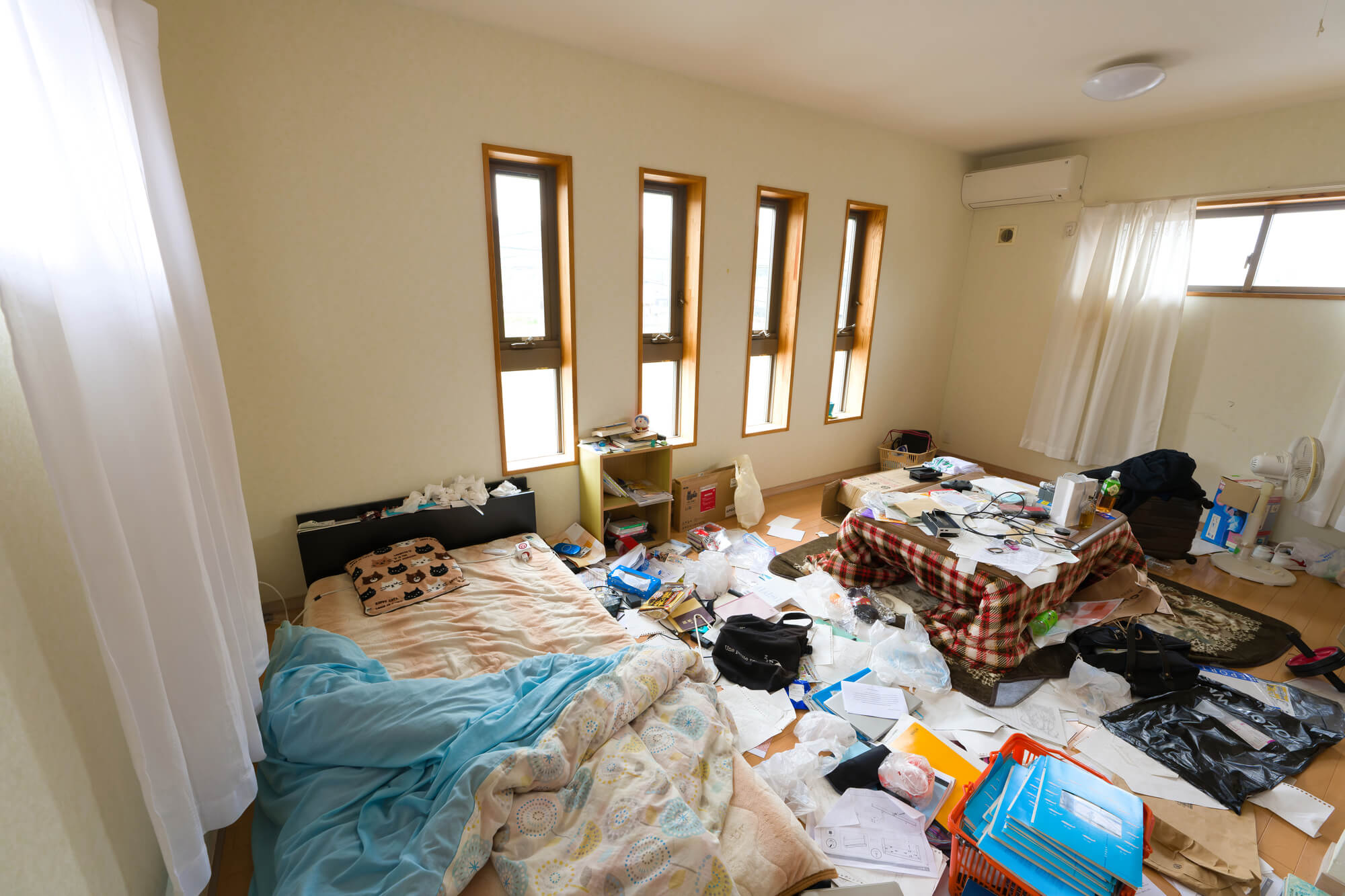 ゴミ屋敷にゴキブリが大量発生する原因とは