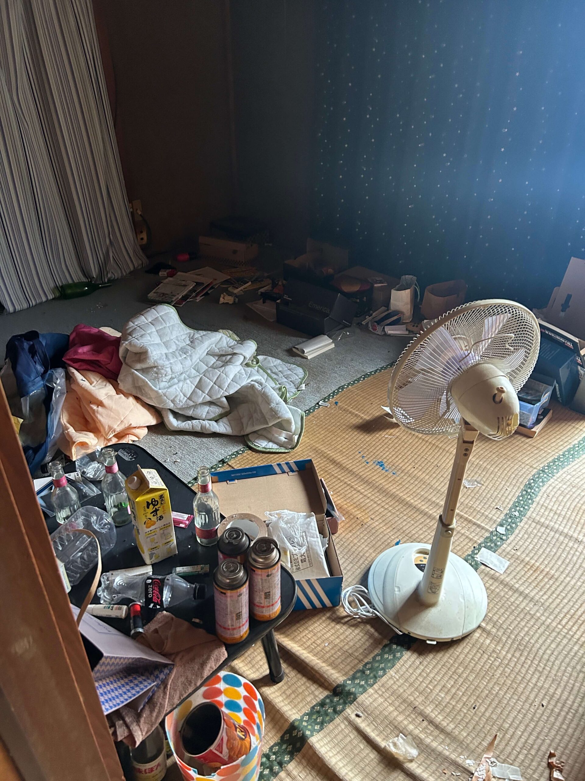 千葉県鎌ケ谷市での部屋のゴミ屋敷片付け前